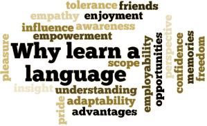 Why Learn a Language (credit: uncp.edu)
